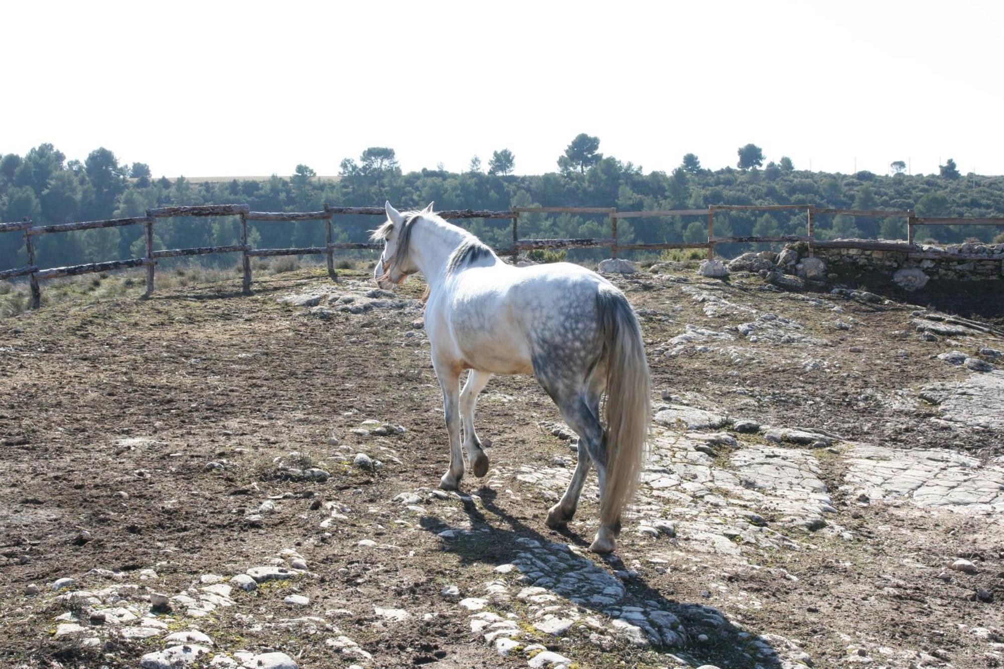 La Posada Del Hidalgo De Alarcón Buitenkant foto